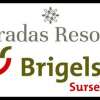 Wettbewerb Brigels / Pradas Resort